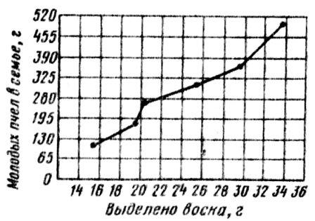 Зависимость восковыделения от количества молодых пчел в семье