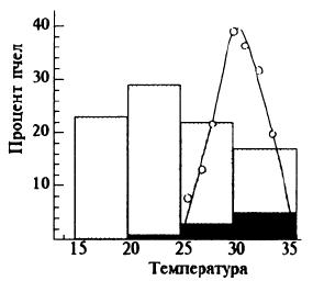 Распределение пчел нуклеуса в вертикальном градиенте температуры