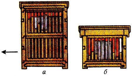 Схема переміщення корпусів вулика: а — стан взимку; б — скорочення обсягу для одного корпусу