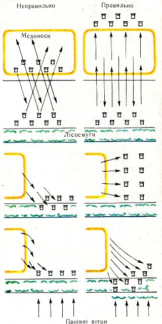 Схема розміщення пасік на медозборі